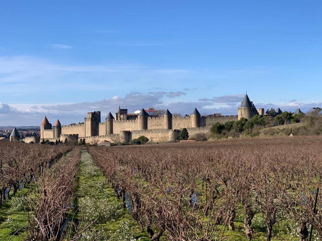 La Cour Carree - Chambres D'Hotes Carcassonne Exterior foto